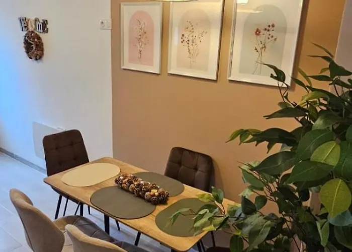 Depaysant A Appartement Poitiers