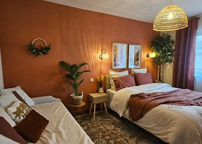 Appartement Depaysant A Poitiers